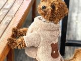 Kore Toy Poddle 6 Aylık