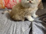 Kalitemiz Tesadüf Değildir