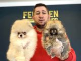 Show Kali̇te Pomeri̇an Boo Yavrular Mağazamizda Görün