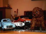 Yeni Yıla Özel İndi̇ri̇mli̇ Toypoodle Yavrularımız