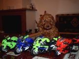 Yeni Yıla Özel İndi̇ri̇mli̇ Toypoodle Yavrularımız