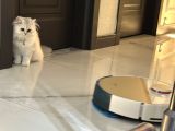 6 ayına yeni Giren kızıma ev arıyoruz
