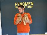 Mi̇ni̇ Mi̇ni̇ Orji̇nal Malti̇poo Yavrularimiz Mağazamizda