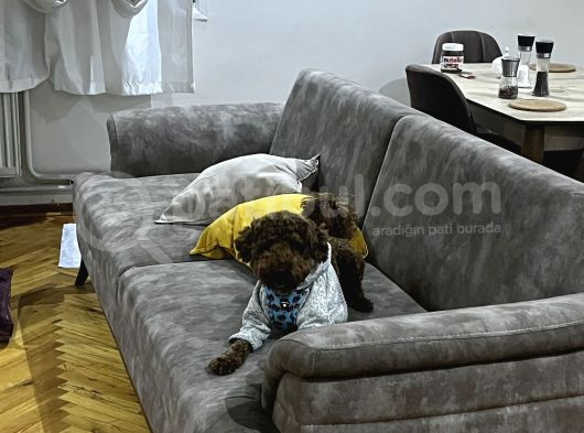 Insan Asıgı Canım Oglum