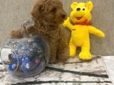Sevimli Toy Bebekler