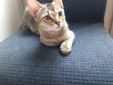 Dünya Güzeli̇ Kardeşler