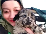 Fos Tüylu Bernedodlarımız