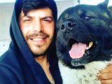 Amerikan Akita Yavrularımız Scr Belgeli