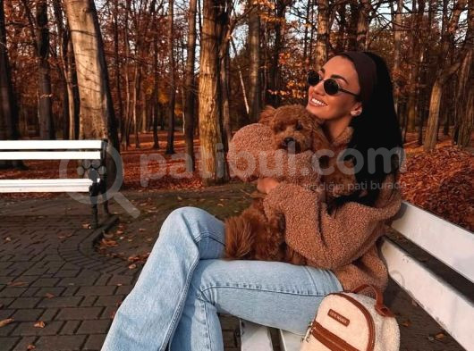 Toy Poodle Bebekleri̇ görsel