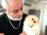 Mi̇kro Veteacup Ve Standart 3 Dişi Yavrular