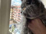 Enerjik Kızımız