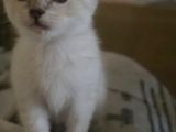 Sevgi delisi bebek teslime hazır