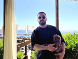 A kALİTE TOY POODLE YAVRULAR