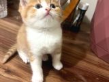 Minik Yavruya Sicacik bir Yuva olur musun