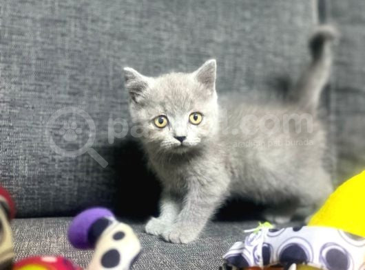Kalite Tesadüf Değil Tercihtir görsel