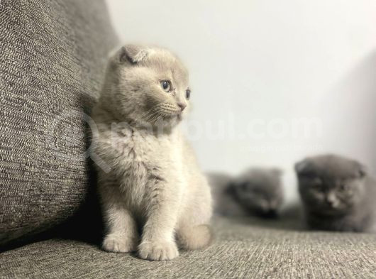 Kalite Tesadüf Değil Tercihtir görsel