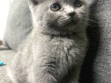 Kalite Tesadüf Değil Tercihtir