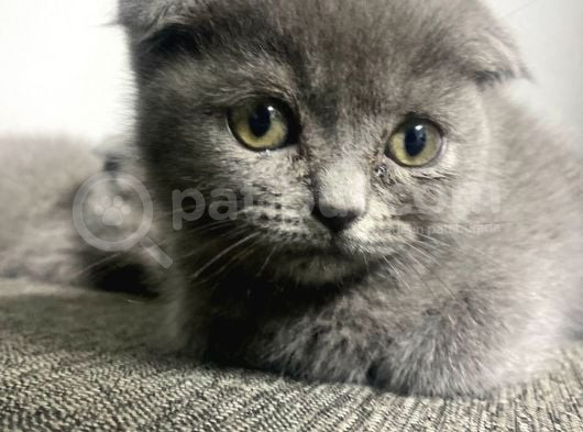 Kalite Tesadüf Değil Tercihtir görsel
