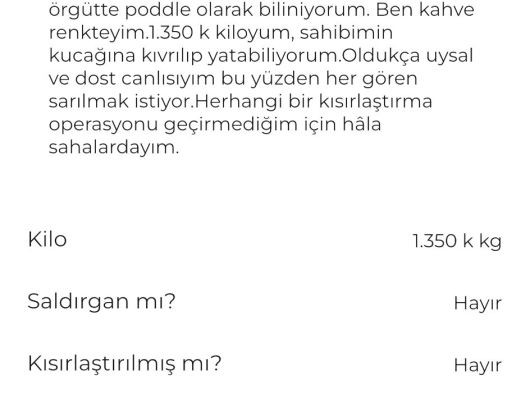 2 Aylık Kızımı Tüm Malzemeleri Ile Verecegim görsel