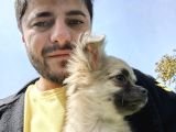 Bu Tatlılık Kaçmaz