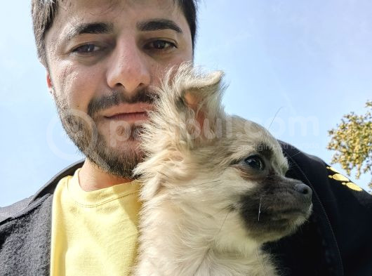 Bu Tatlılık Kaçmaz görsel
