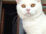 Bir Buçuk Yaşındaki Prensesime Güvenilir Yuva Arıyorum