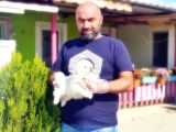 Peki̇nez Yavru