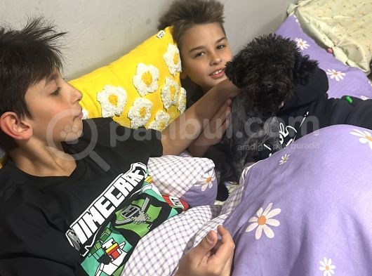 Linda Kızıma Yeni Aile görsel