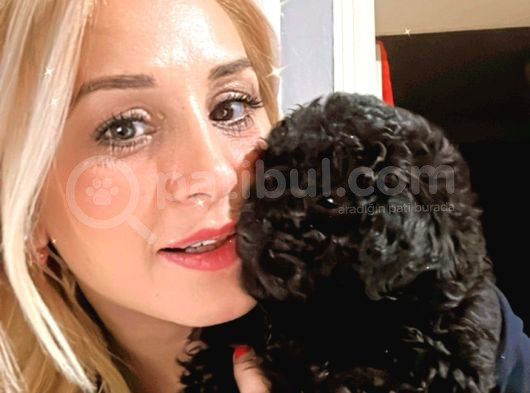 Linda Kızıma Yeni Aile görsel