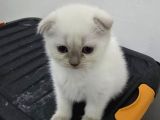 TOP SURAT PAMUĞUM YENİ YUVAYA GİTMEYE HAZIR
