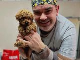 1kg250gr micro poodle uygun