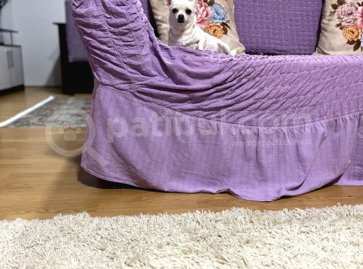 Köpekten Anlayanlara Özel Kopegimiz görsel