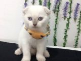 Sevi̇mli̇ Bebeği̇m Tesli̇me Hazir