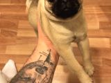 Pug