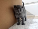 Sevi̇mli̇ Bebeği̇m Tesli̇me Hazir