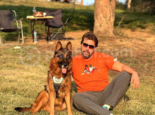 Safkan Alman Çoban Köpeği görsel