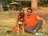 Safkan Alman Çoban Köpeği