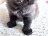 Bebisler Yeni Ailelerini Bekliyo