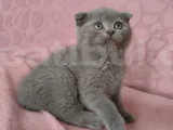 Sevi̇mli̇ Bebeği̇m Tesli̇me Hazir