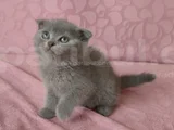 SEVİMLİ BEBEĞİM TESLİME HAZIR