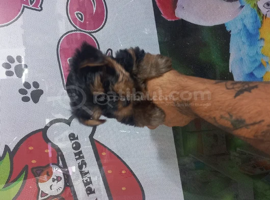 Kalite Tesadüf Değil Tercihtir görsel