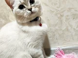 Mia