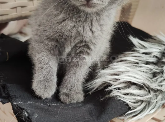 Sevi̇mli̇ Bebeği̇m Tesli̇me Hazir görsel