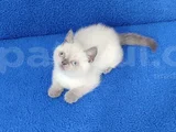 Mükemmel Güzelli̇k Bulupoi̇nt