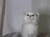 Oyuncu Bebeklerimiz Yeni Yuvalarını Bekliyor