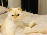 Sakin Sevecen Kızımız Mia