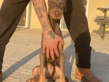 King kızıl doberman istanbul elden teslim