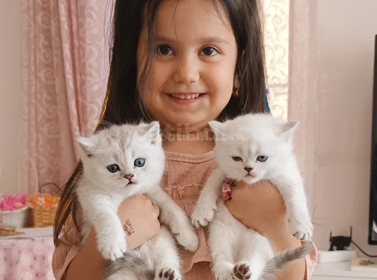 Sağlikli Bakimli Kali̇teli̇ Safkan Kizlar görsel