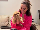 Xxsmal micro poodle bebekler