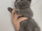 Sevi̇mli̇ Bebeği̇m Tesli̇me Hazir